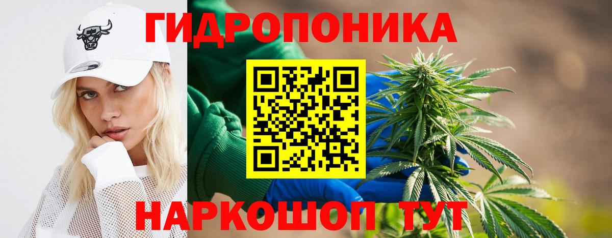 Шишки марихуана семена Конаково